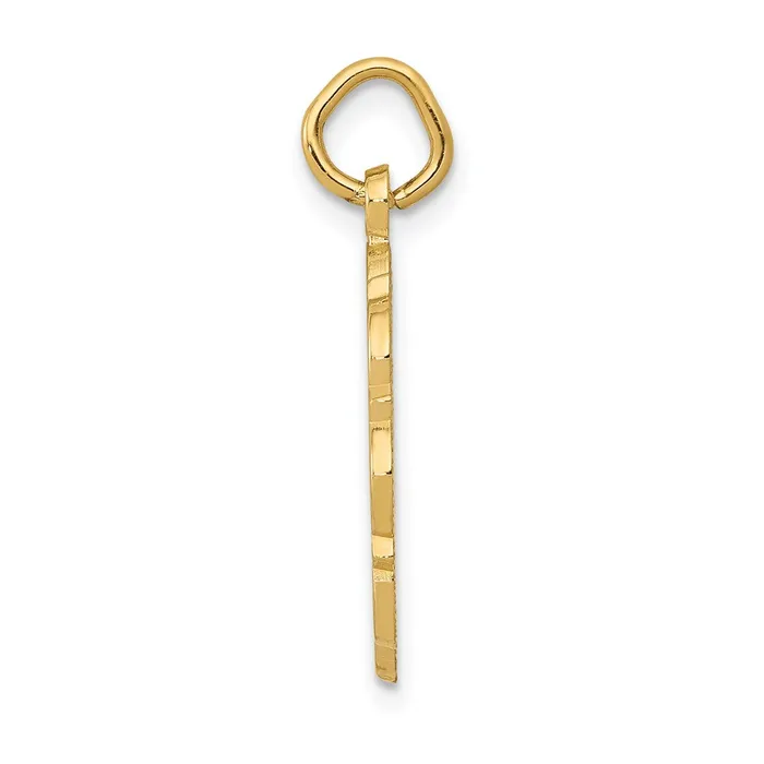Charm Necklaces Goldia 14k Yellow Gold RN Registered Nurse Disc Charm