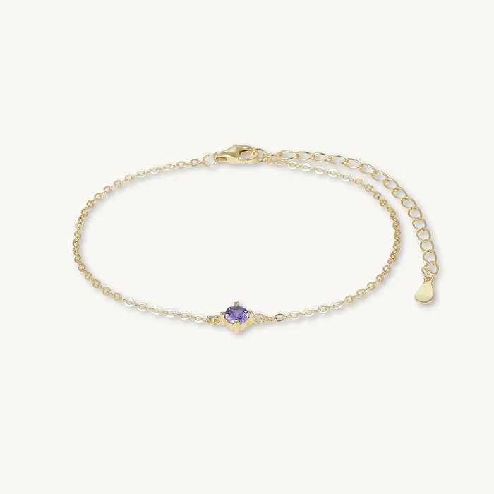 Camile Stone Bracelets Classic Birthstone Bracelet February