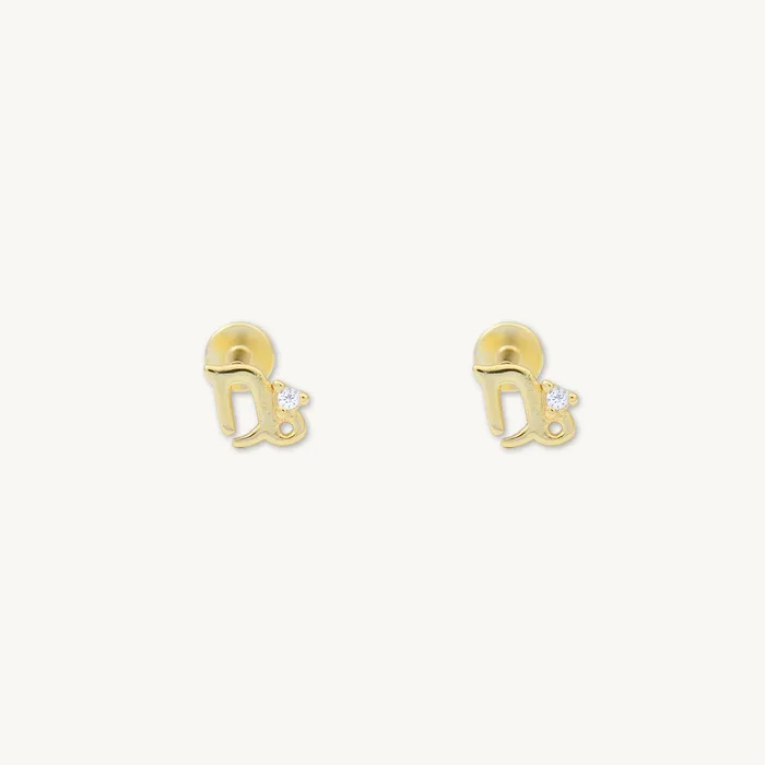 Camile Stone Earrings Capricorn Zodiac Star Sign Flat Back Earrings