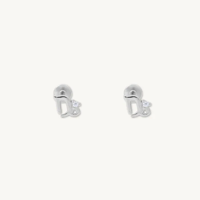Camile Stone Earrings Capricorn Zodiac Star Sign Flat Back Earrings