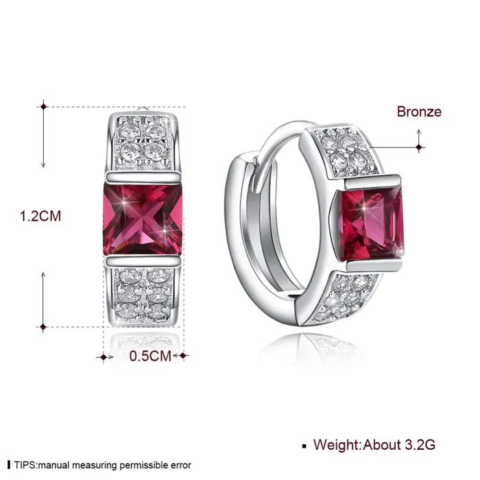 Earrings Hoop Earrings Red Color CZ Stone For Women Personalized Jewel